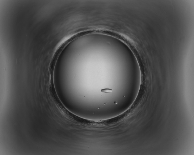 X0000086721271200704131036