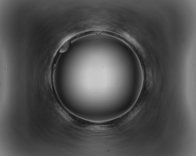 X0000086721272200704131036