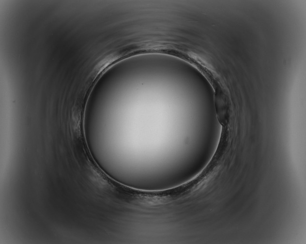 X0000086721273200704131036