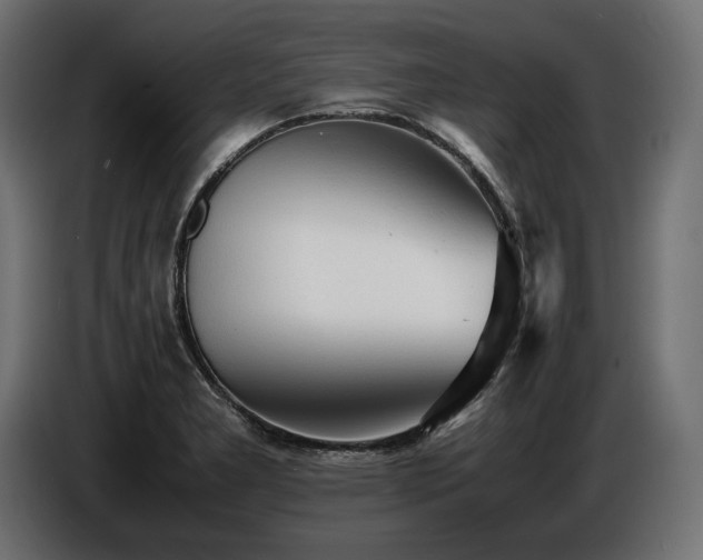 X0000086721277200704131036