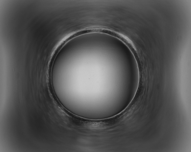 X0000086721279200704131036