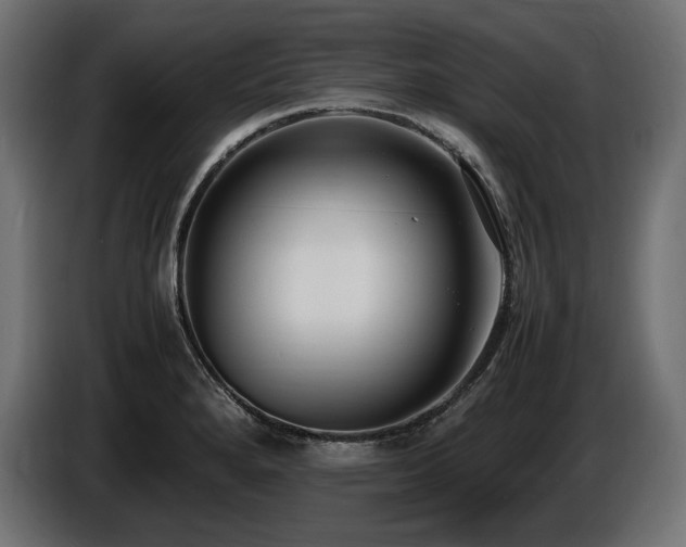 X0000086721280200704131035