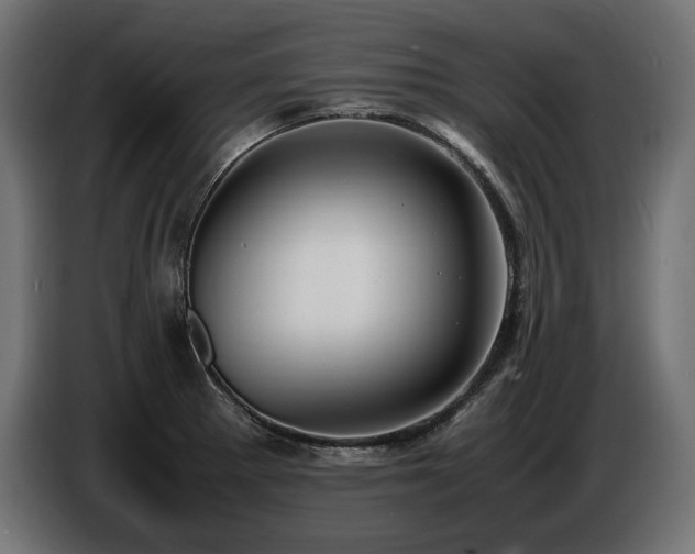X0000086721281200704131035