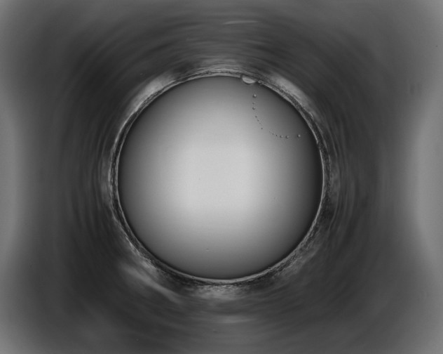X0000086721282200704131035