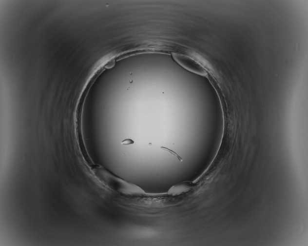 X0000086721283200704131035