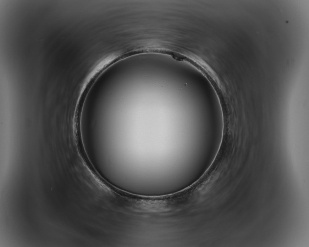 X0000086721285200704131035