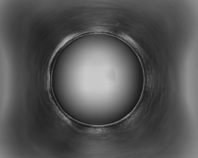 X0000086721286200704131035