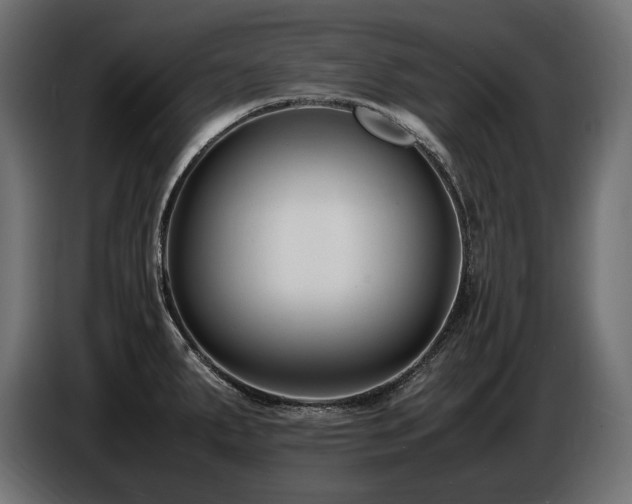 X0000086721287200704131035