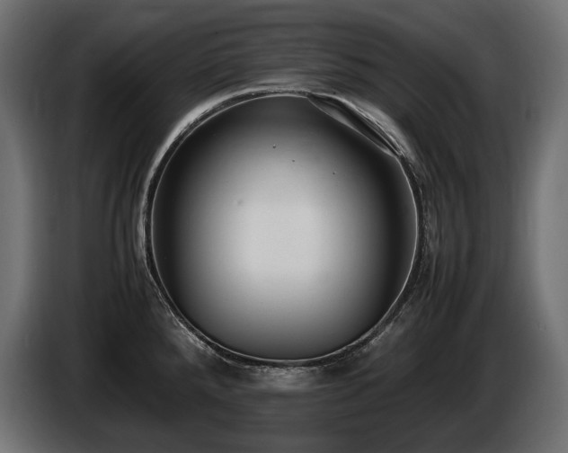 X0000086721288200704131035