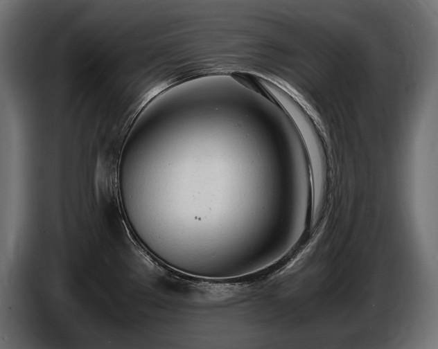 X0000086721289200704131035