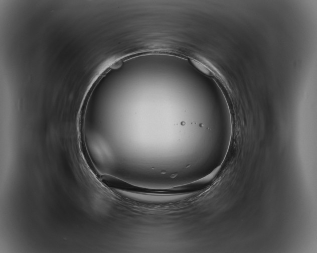 X0000086721291200704131035