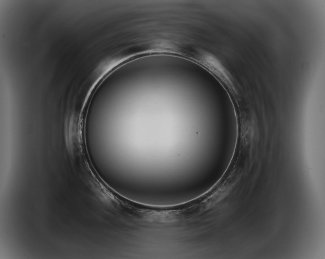 X0000086721292200704131035
