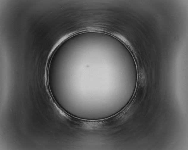 X0000086721294200704131035