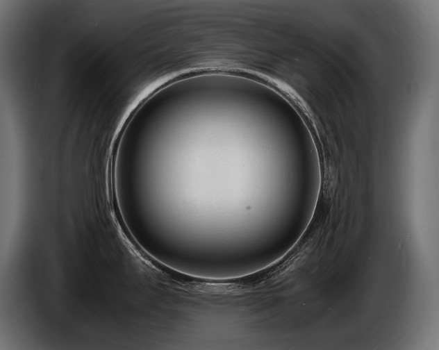 X0000086721295200704131035