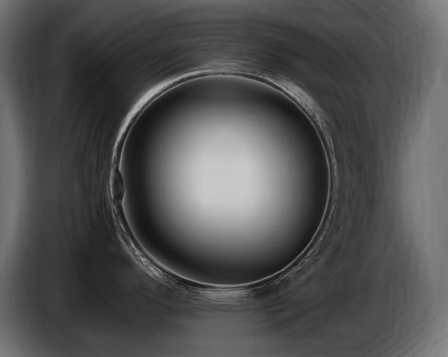 X0000086721296200704131035