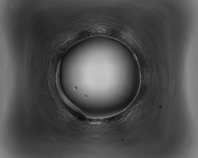 X0000086721297200704131035