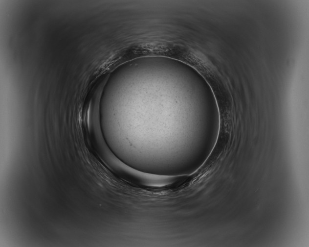X0000086721298200704131035