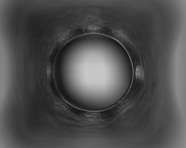 X0000086721299200704131035