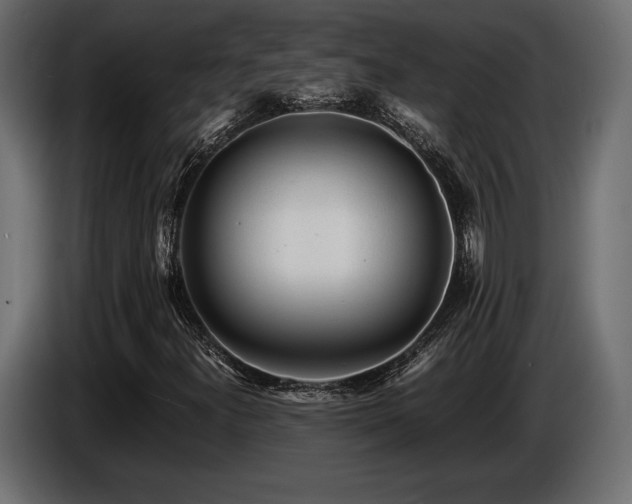 X0000086721300200704131035