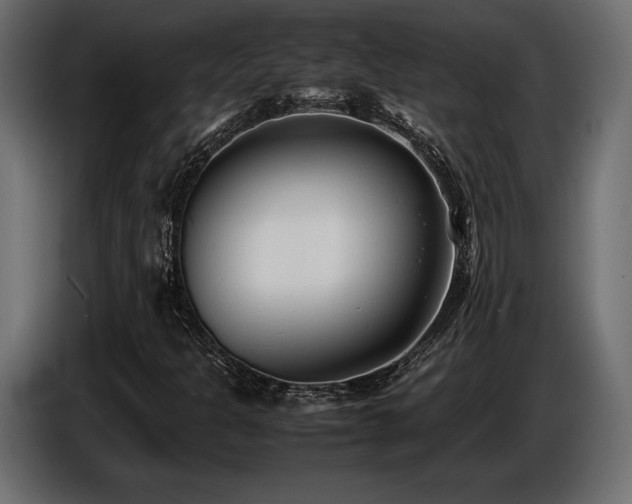 X0000086721301200704131035