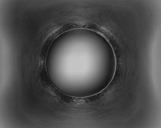 X0000086721302200704131035