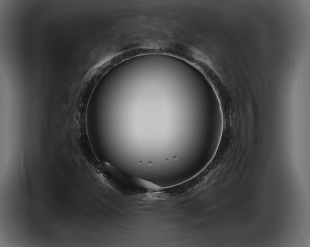 X0000086721304200704131035