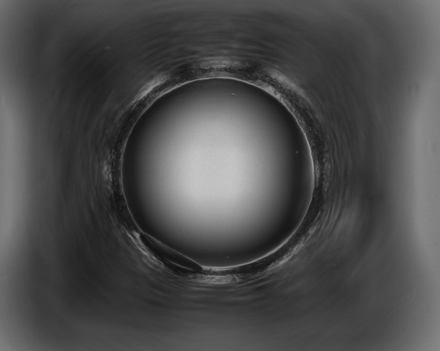X0000086721305200704131035