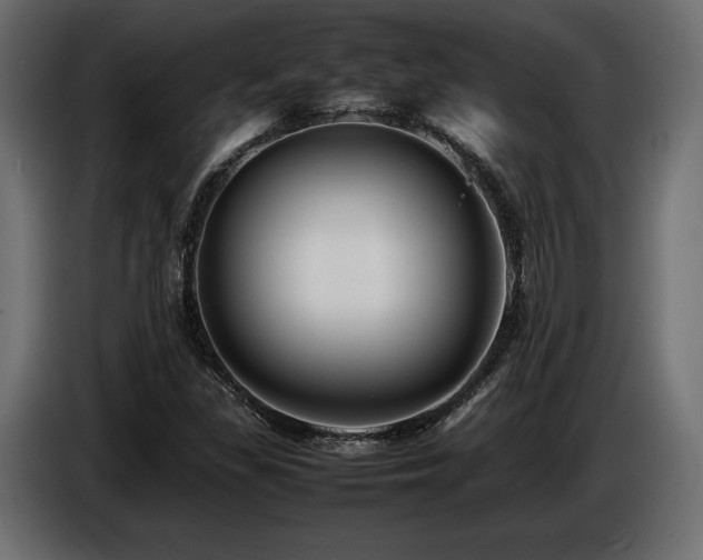 X0000086721309200704131035