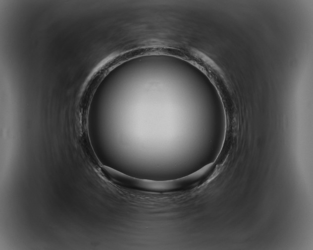 X0000086721310200704131035