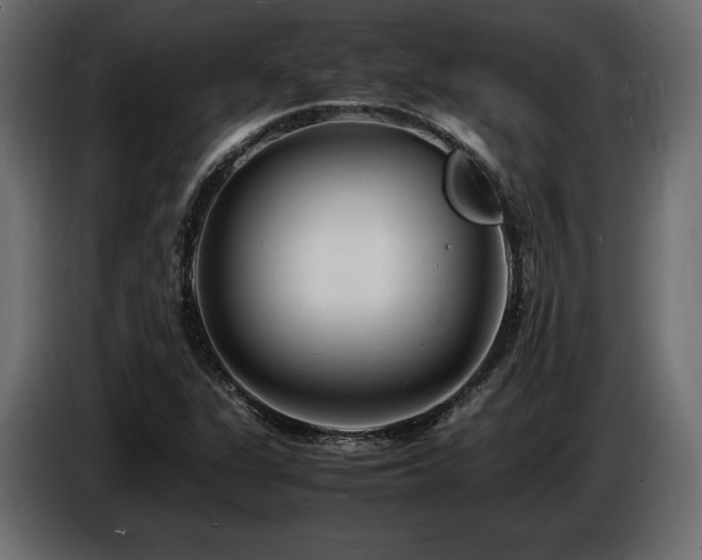 X0000086721311200704131035