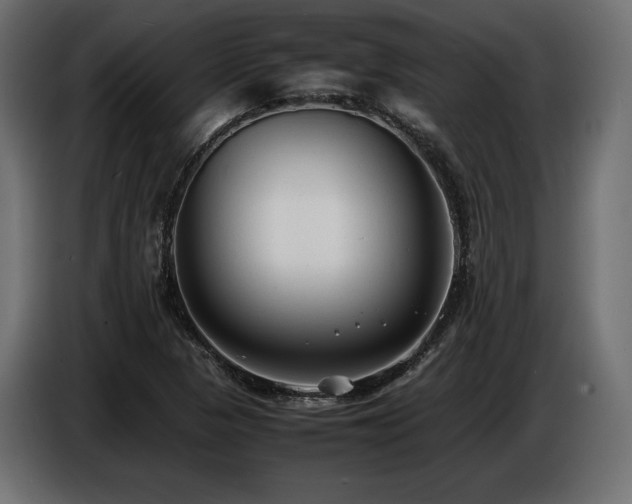 X0000086721313200704131035