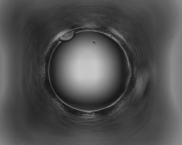 X0000086721315200704131035