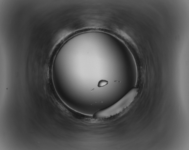 X0000086721318200704131035