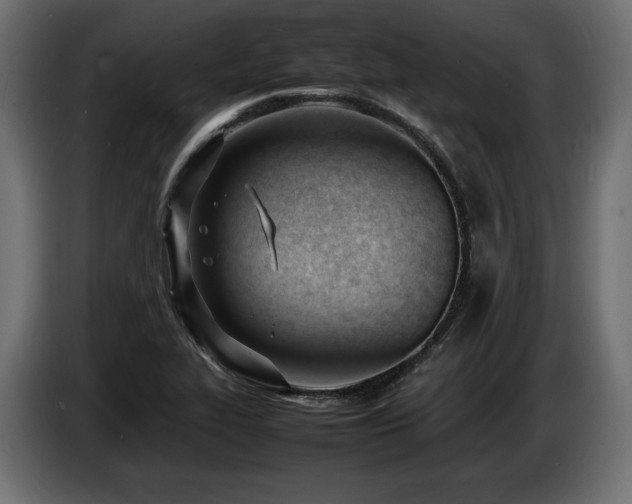 X0000086721319200704131035