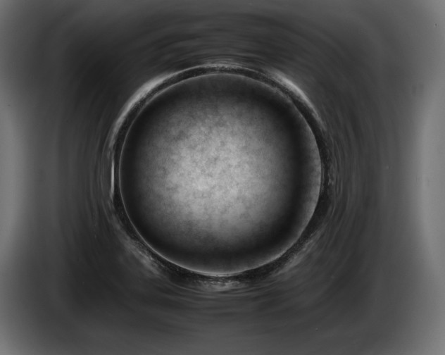 X0000086721323200704131035