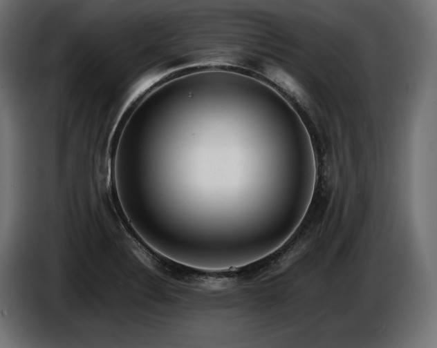 X0000086721324200704131035