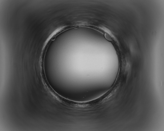 X0000086721325200704131035