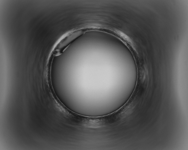 X0000086721326200704131035