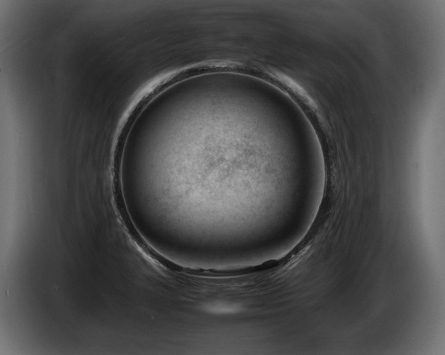 X0000086721327200704131035