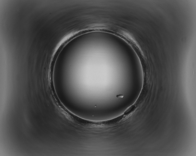 X0000086721328200704131035