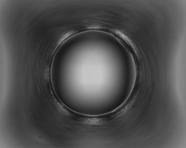X0000086721329200704131035
