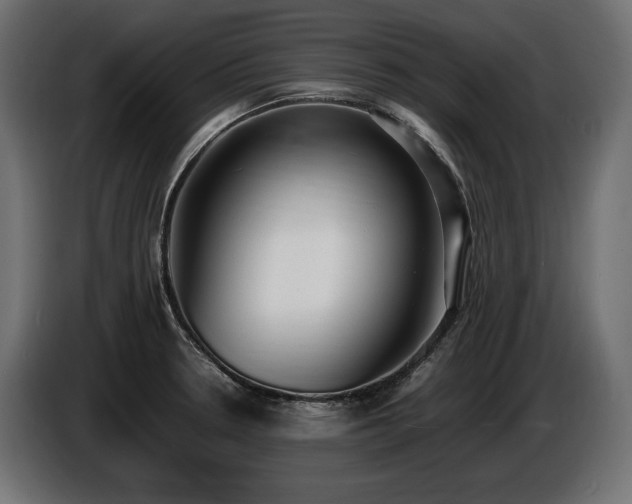 X0000086721330200704131035