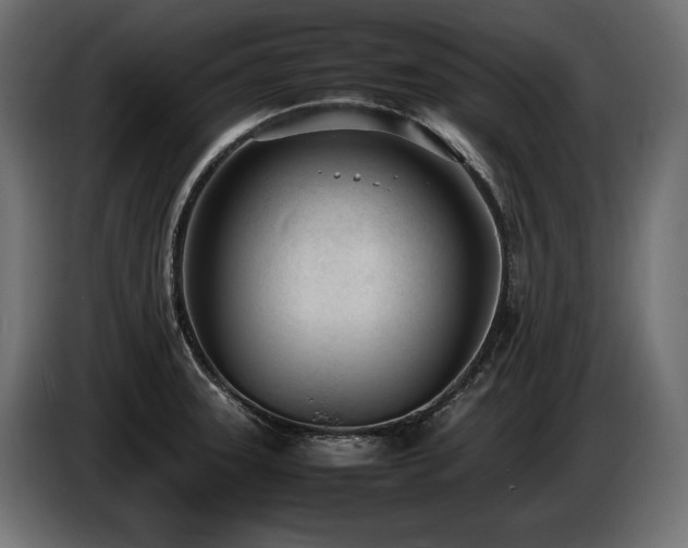 X0000086721331200704131035