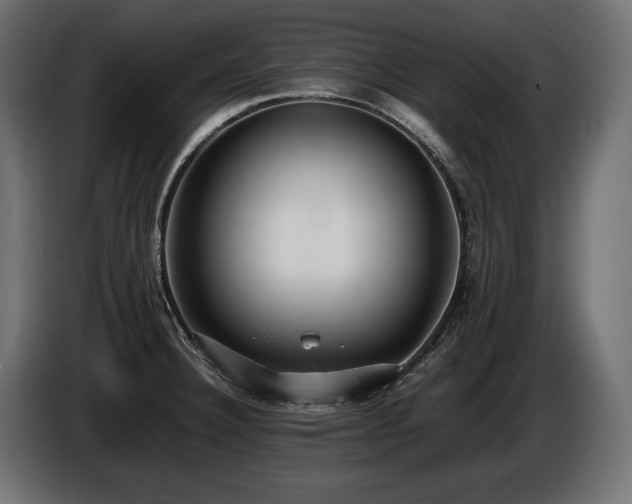 X0000086721332200704131035