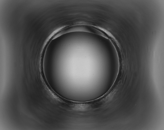 X0000086721333200704131035