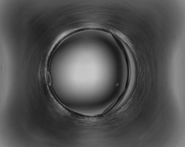 X0000086721334200704131035