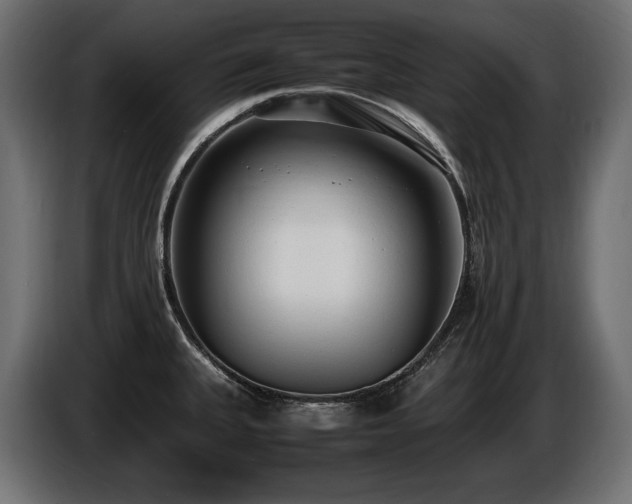 X0000086721335200704131035