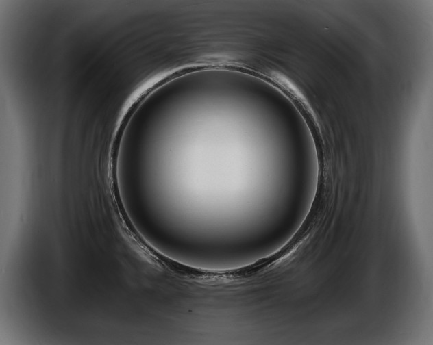 X0000086721336200704131035