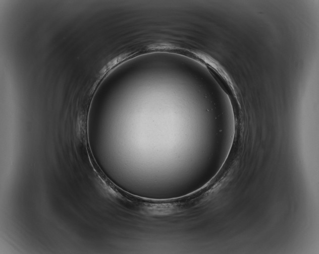 X0000086721337200704131035