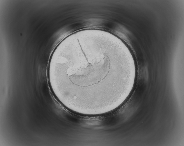 X0000086721338200704131035